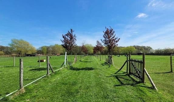 Prodej domu 450 m², pozemek 32.000 m², Niederkrüchten, Severní Porýní-Vestfálsko Prodej domu 450 m², pozemek 32.000 m², Niederkrüchten, Severní Porýní-Vestfálsko