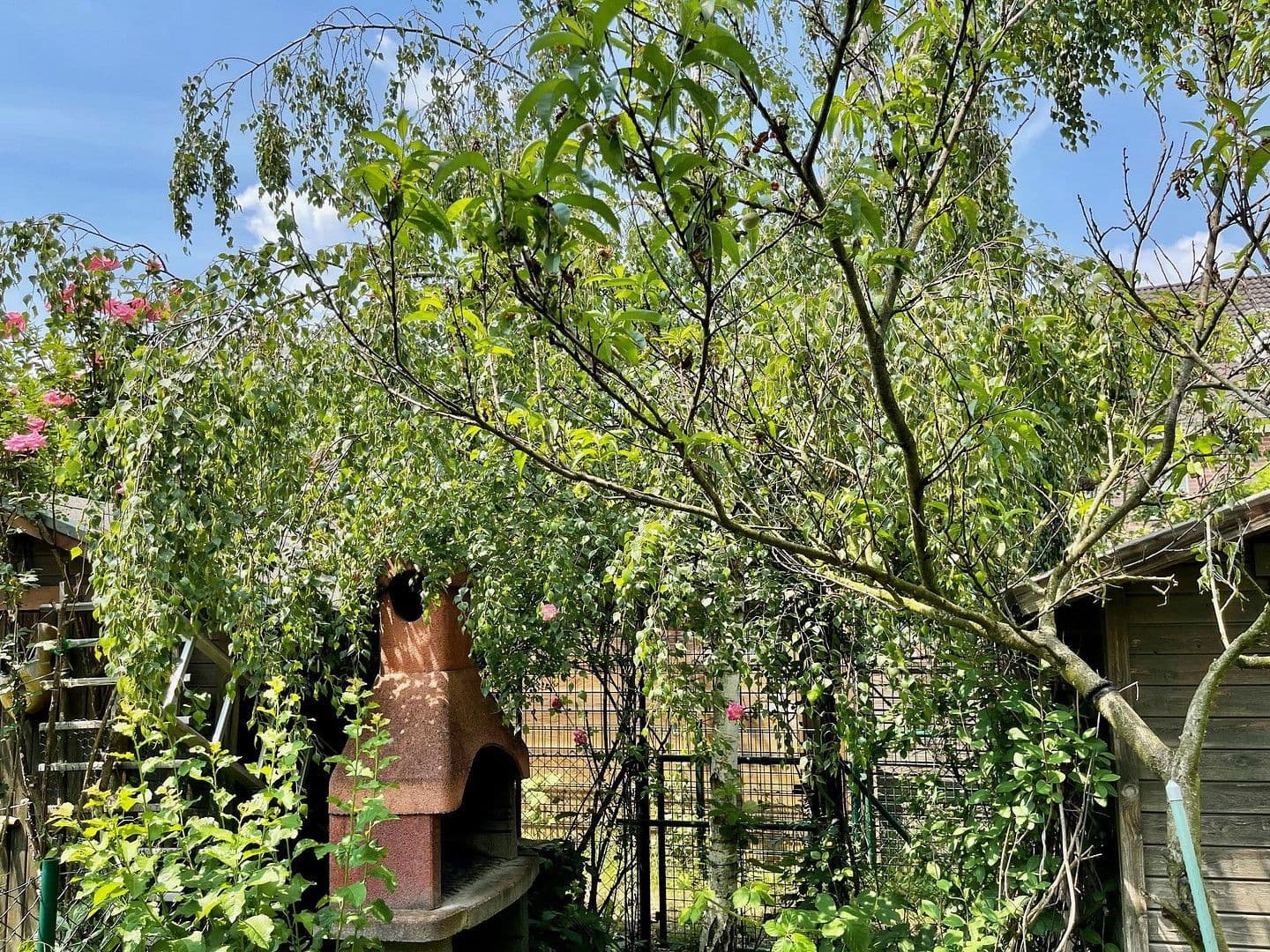 Pronájem domu 145 m², pozemek 370 m², Franz-Raveaux-Straße 32, Köln, Severní Porýní-Vestfálsko Pronájem domu 145 m², pozemek 370 m², Franz-Raveaux-Straße 32, Köln, Severní Porýní-Vestfálsko