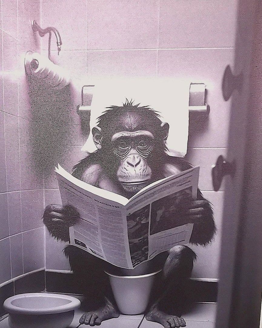 Pronájem bytu 15 m², Lemgo, Severní Porýní-Vestfálsko Pronájem bytu 15 m², Lemgo, Severní Porýní-Vestfálsko