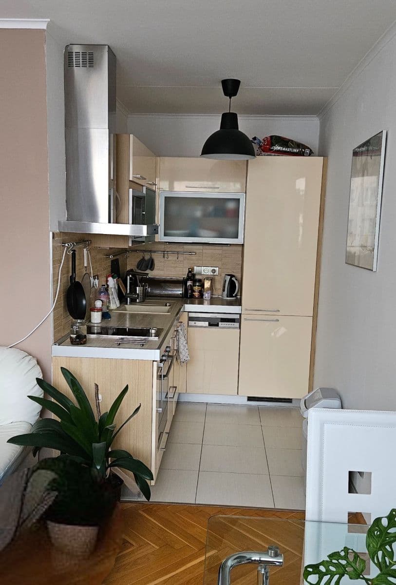 Pronájem bytu 1+kk 34 m², Nechvílova, Praha, Praha Pronájem bytu 1+kk 34 m², Nechvílova, Praha, Praha
