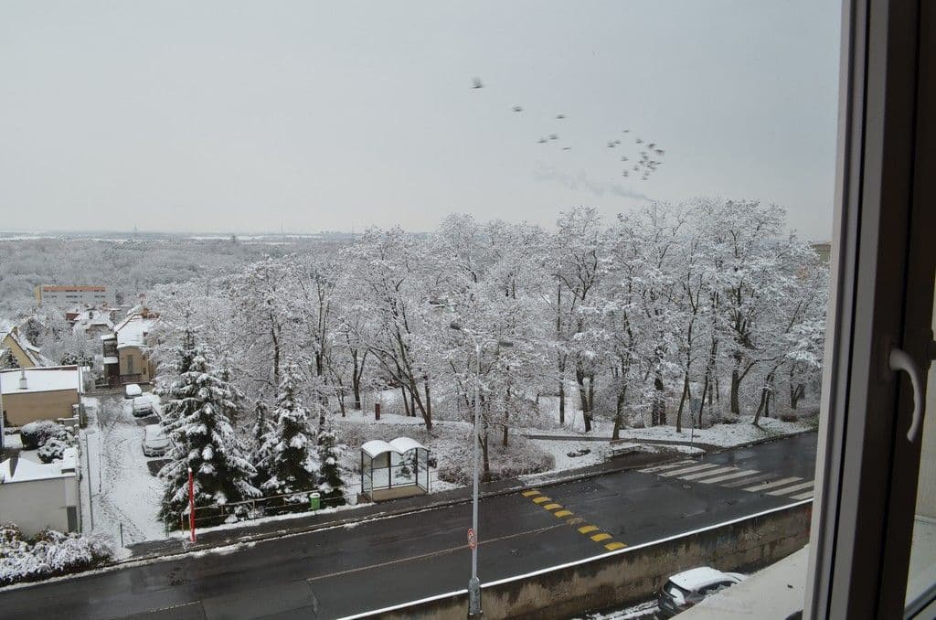 Pronájem bytu 2+1 49 m², Kukelská, Praha, Praha Pronájem bytu 2+1 49 m², Kukelská, Praha, Praha