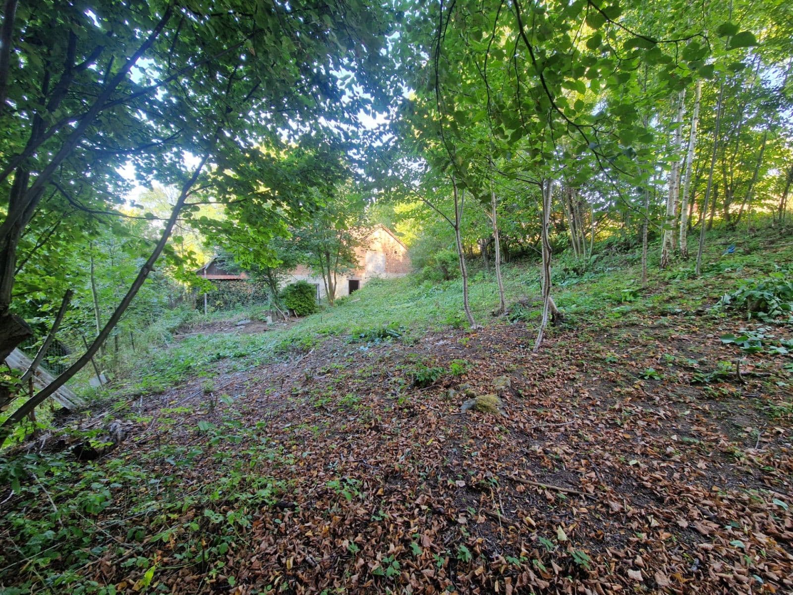 Prodej domu 142 m², pozemek 795 m², Vidlatá Seč, Pardubický kraj Prodej domu 142 m², pozemek 795 m², Vidlatá Seč, Pardubický kraj