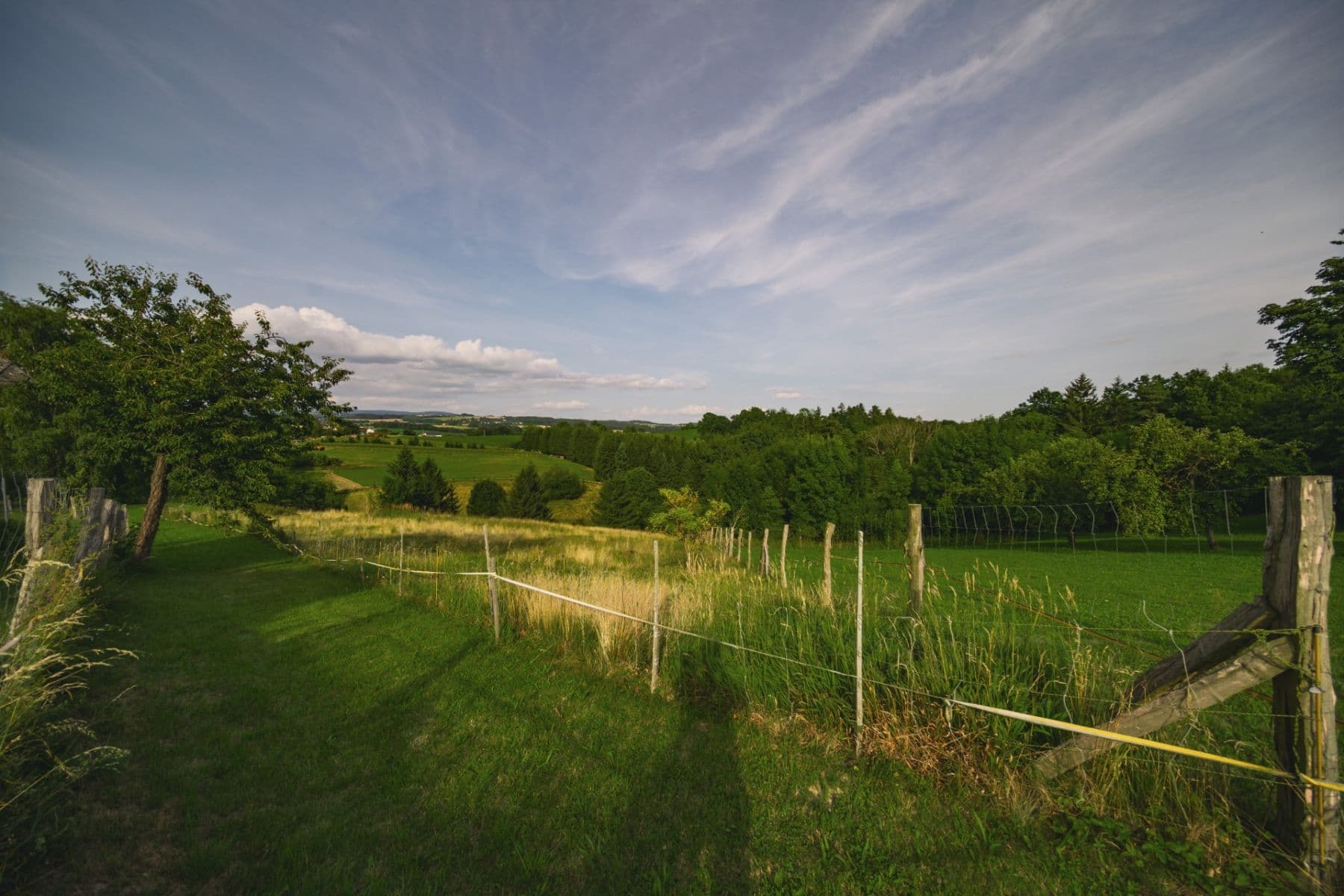 Prodej domu 244 m², pozemek 5.844 m², Javornice, Královéhradecký kraj Prodej domu 244 m², pozemek 5.844 m², Javornice, Královéhradecký kraj