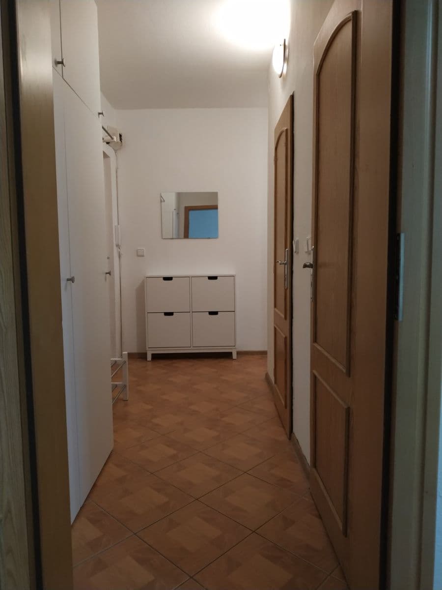Pronájem bytu 2+1 54 m², Mánesova, Frýdek-Místek, Moravskoslezský kraj Pronájem bytu 2+1 54 m², Mánesova, Frýdek-Místek, Moravskoslezský kraj