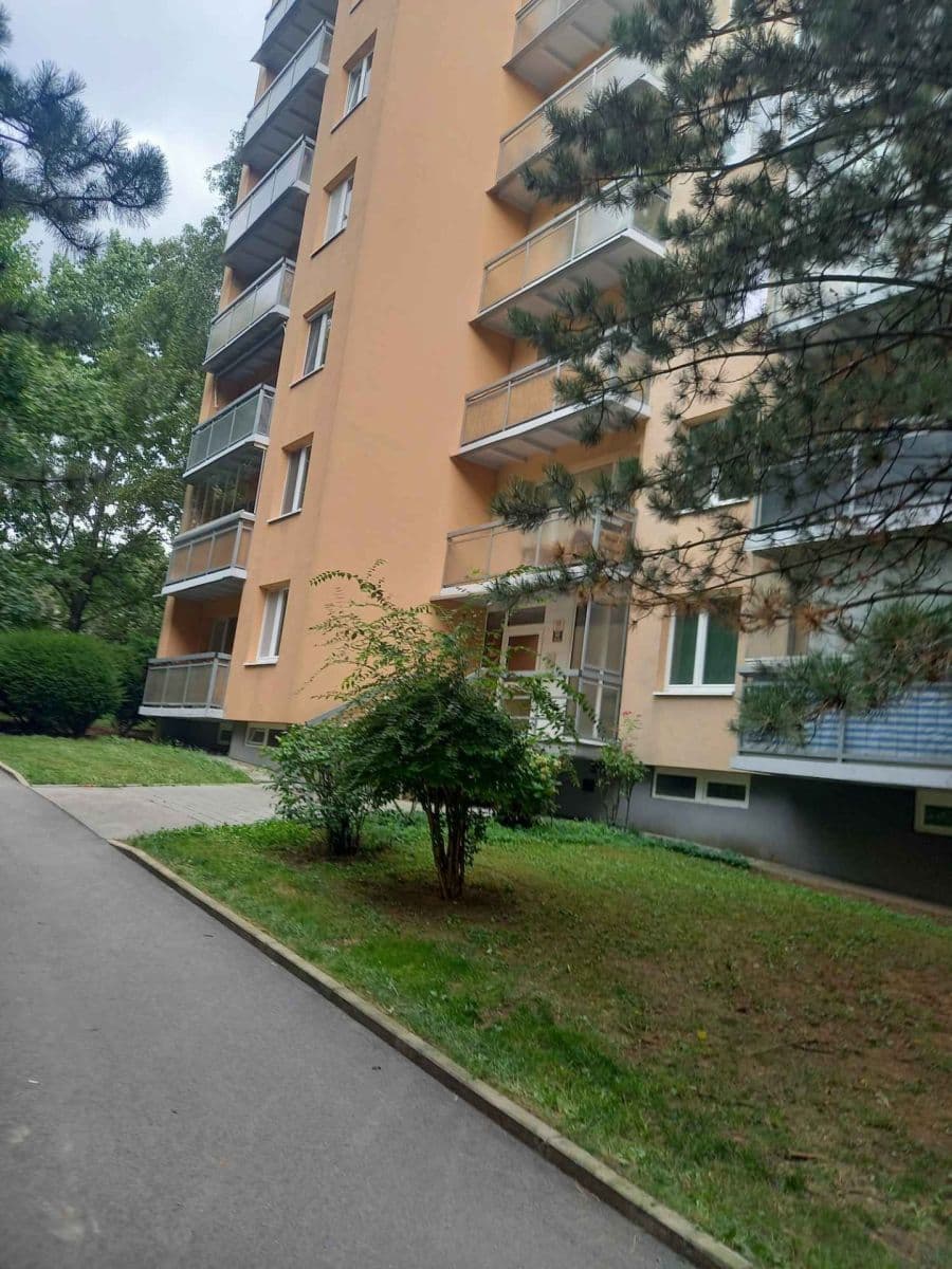 Pronájem bytu 1+kk 34 m², Uzbecká, Brno, Jihomoravský kraj Pronájem bytu 1+kk 34 m², Uzbecká, Brno, Jihomoravský kraj