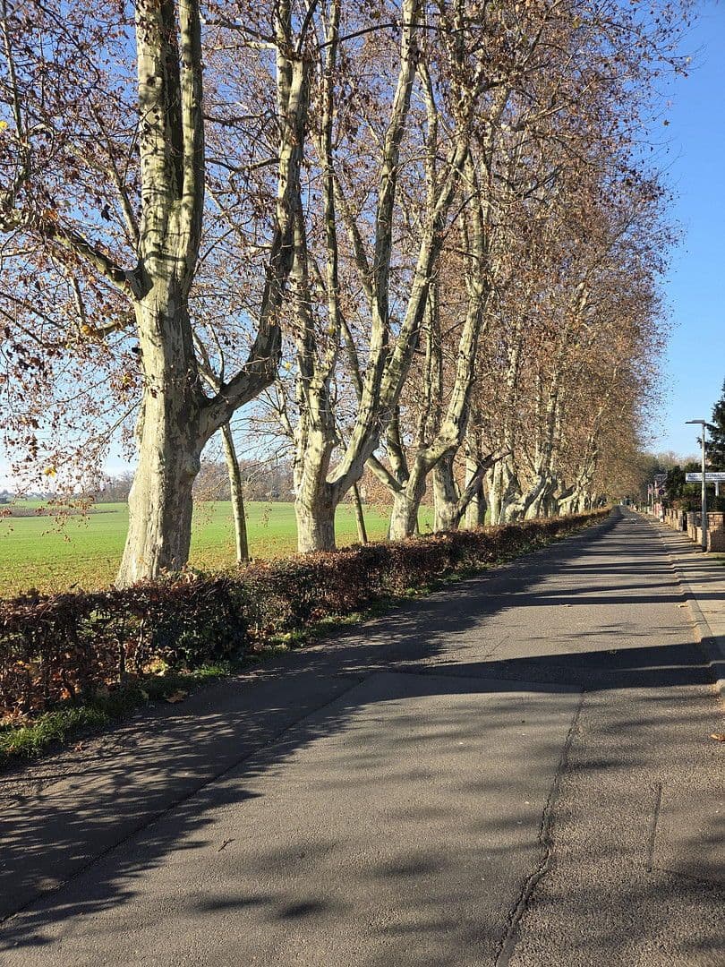 Prodej bytu 2+1 72 m², Flörsheim, Hessen Prodej bytu 2+1 72 m², Flörsheim, Hessen