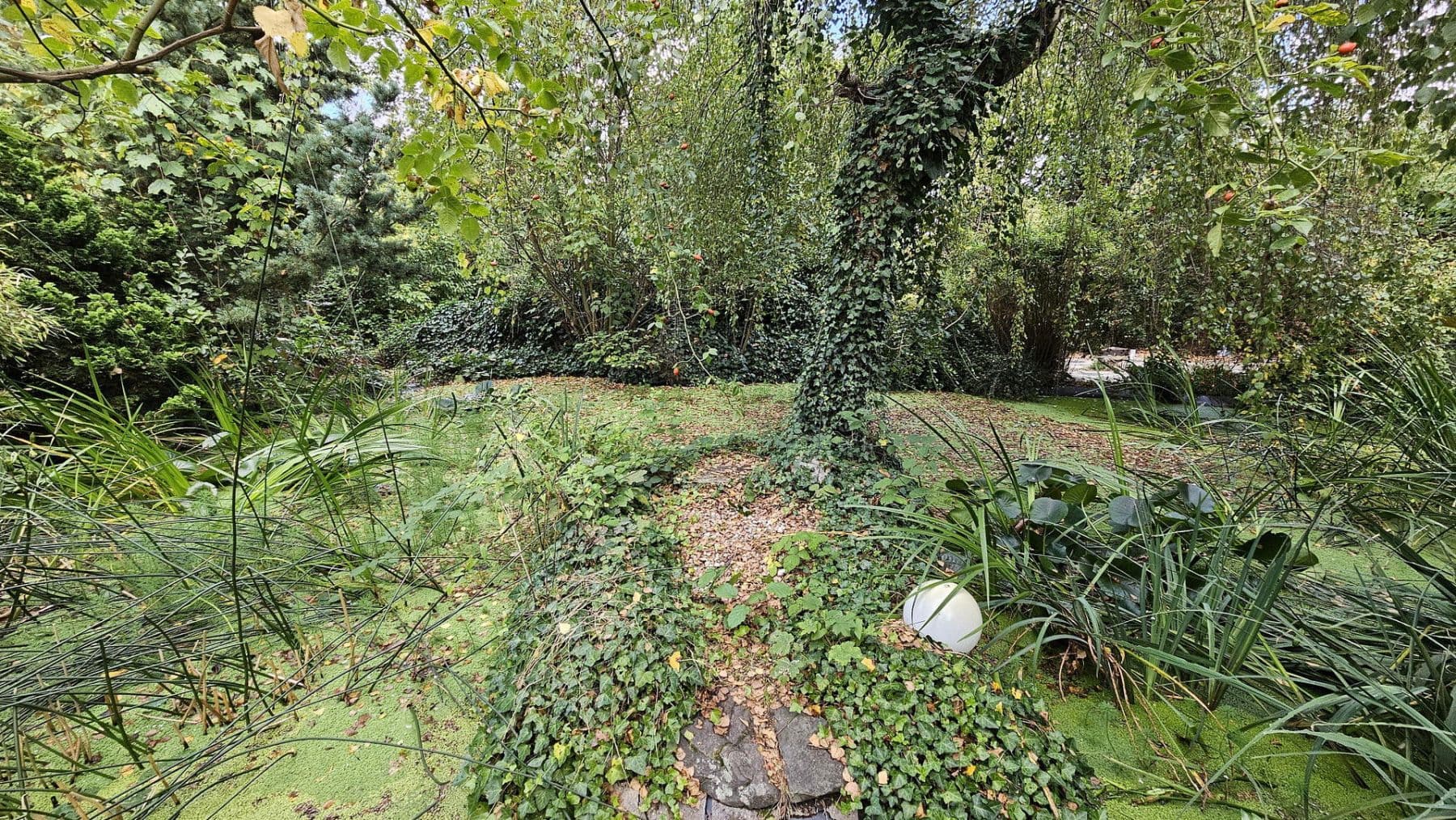 Prodej domu 230 m², pozemek 1.200 m², An der Feuerwache 1a, Troisdorf, Severní Porýní-Vestfálsko Prodej domu 230 m², pozemek 1.200 m², An der Feuerwache 1a, Troisdorf, Severní Porýní-Vestfálsko