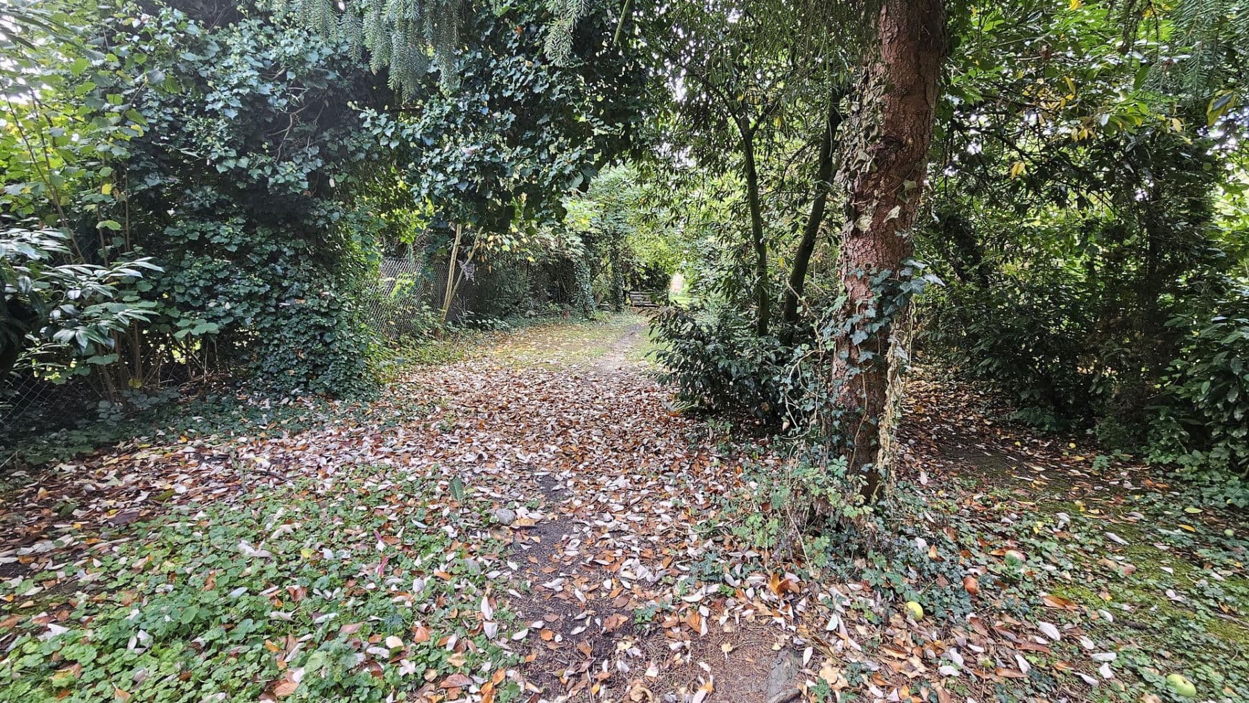 Prodej domu 230 m², pozemek 1.200 m², An der Feuerwache 1a, Troisdorf, Severní Porýní-Vestfálsko Prodej domu 230 m², pozemek 1.200 m², An der Feuerwache 1a, Troisdorf, Severní Porýní-Vestfálsko