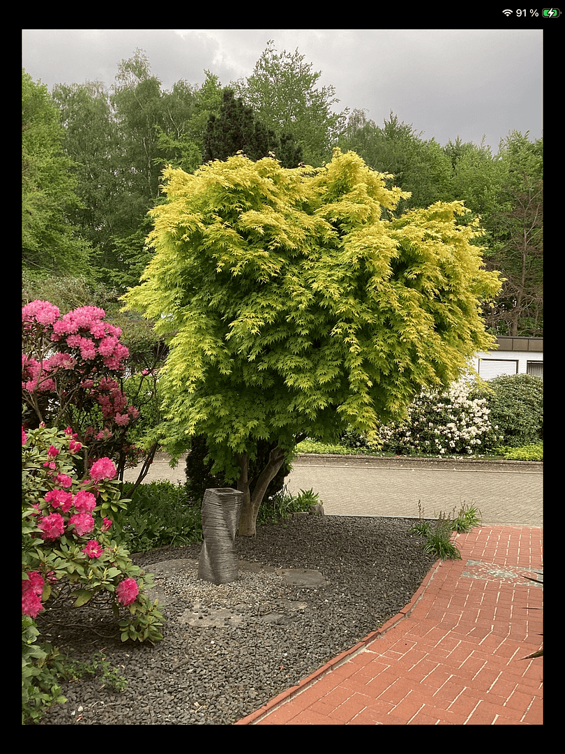 Prodej domu 160 m², pozemek 534 m², Nordhorn, Dolní Sasko Prodej domu 160 m², pozemek 534 m², Nordhorn, Dolní Sasko