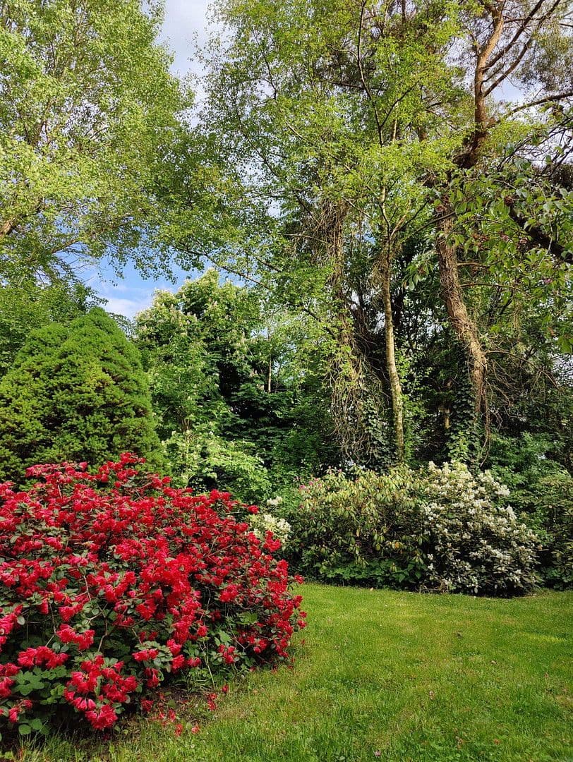 Prodej domu 174 m², pozemek 16.759 m², Olzheim, Porýní-Falc Prodej domu 174 m², pozemek 16.759 m², Olzheim, Porýní-Falc