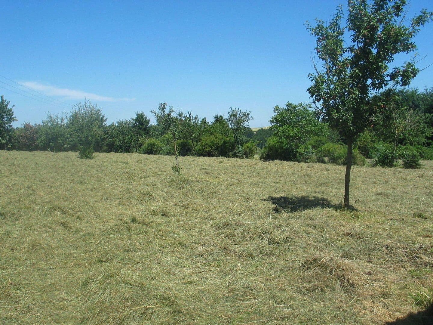 Prodej domu 174 m², pozemek 16.759 m², Olzheim, Porýní-Falc Prodej domu 174 m², pozemek 16.759 m², Olzheim, Porýní-Falc