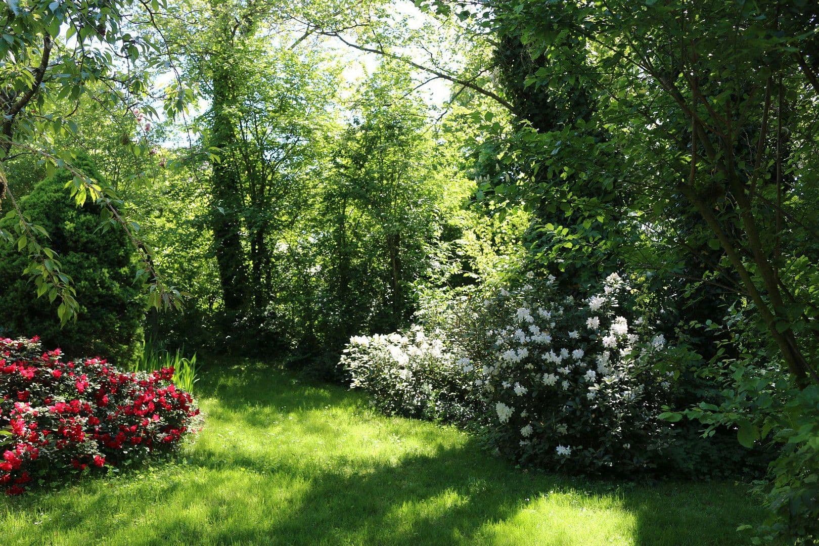 Prodej domu 174 m², pozemek 16.759 m², Olzheim, Porýní-Falc Prodej domu 174 m², pozemek 16.759 m², Olzheim, Porýní-Falc