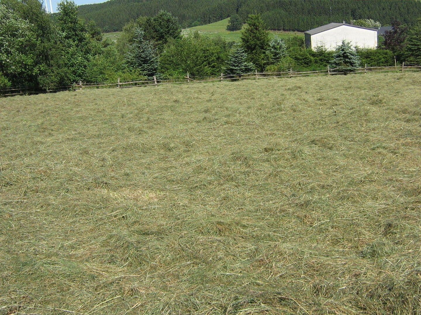 Prodej domu 174 m², pozemek 16.759 m², Olzheim, Porýní-Falc Prodej domu 174 m², pozemek 16.759 m², Olzheim, Porýní-Falc