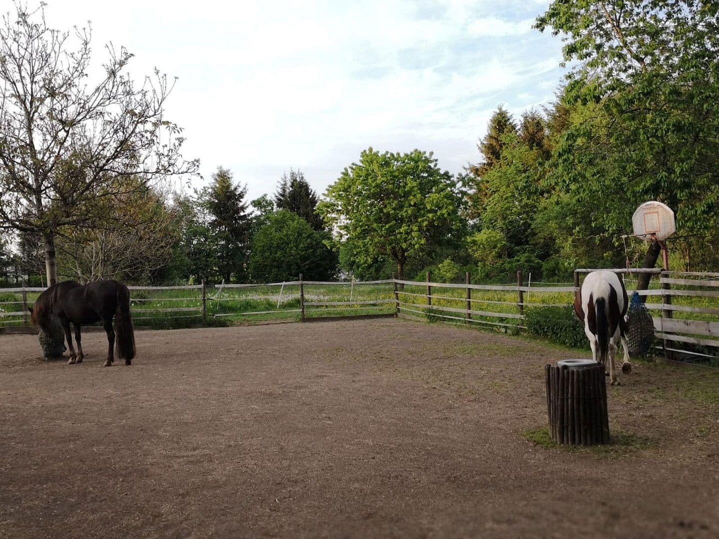 Prodej domu 174 m², pozemek 16.759 m², Olzheim, Porýní-Falc Prodej domu 174 m², pozemek 16.759 m², Olzheim, Porýní-Falc