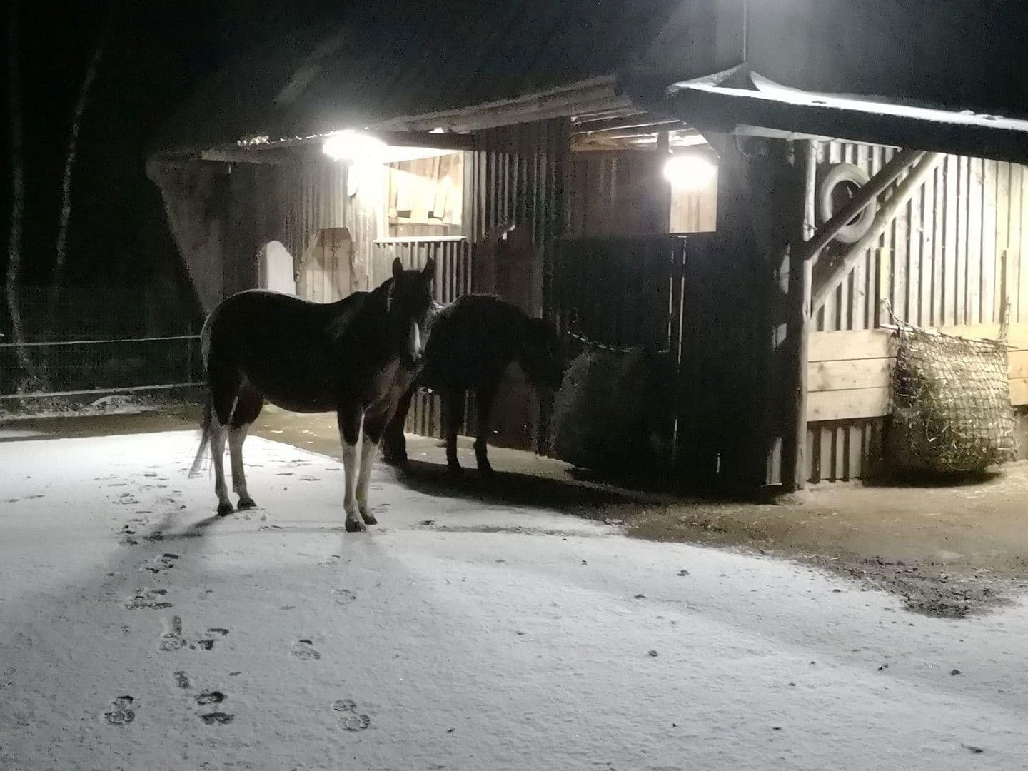 Prodej domu 174 m², pozemek 16.759 m², Olzheim, Porýní-Falc Prodej domu 174 m², pozemek 16.759 m², Olzheim, Porýní-Falc