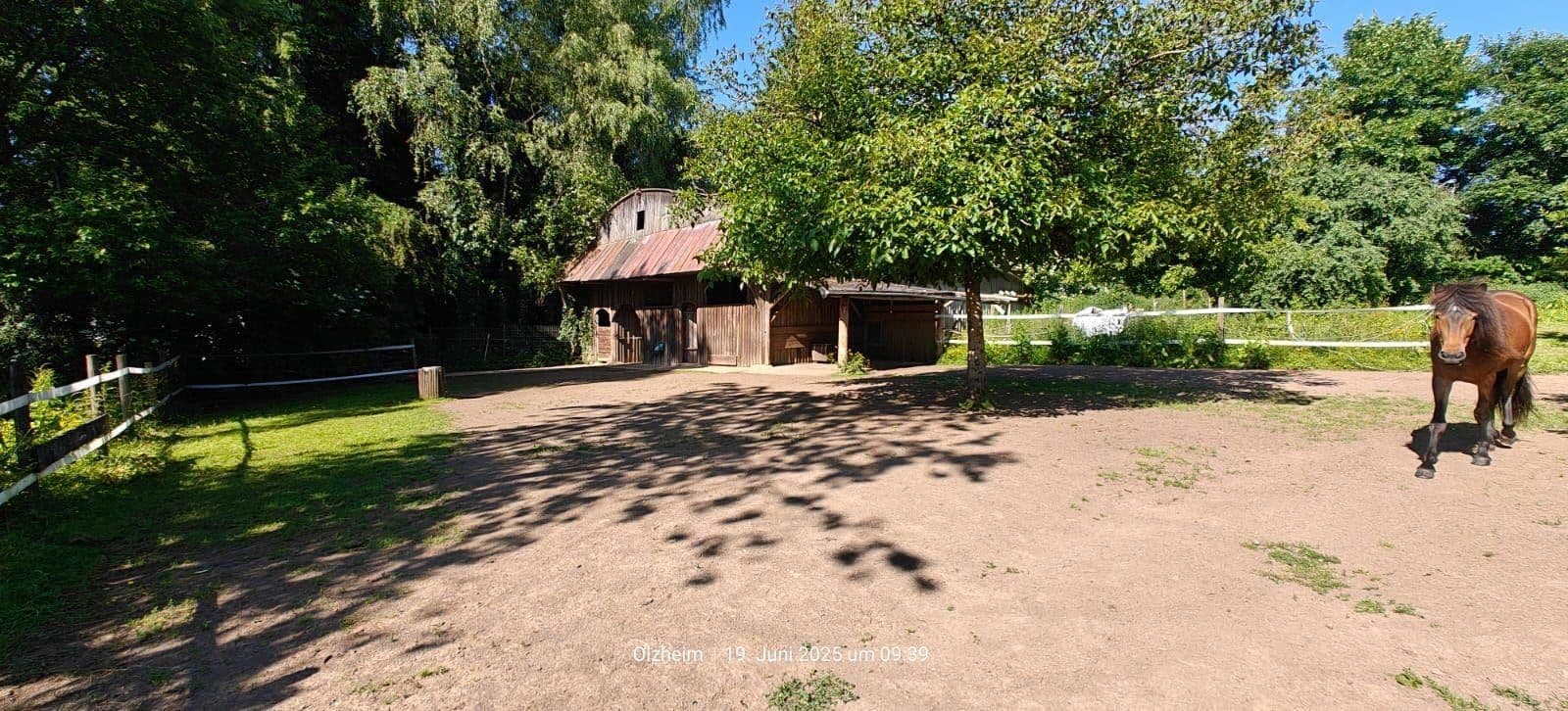 Prodej domu 174 m², pozemek 16.759 m², Olzheim, Porýní-Falc Prodej domu 174 m², pozemek 16.759 m², Olzheim, Porýní-Falc