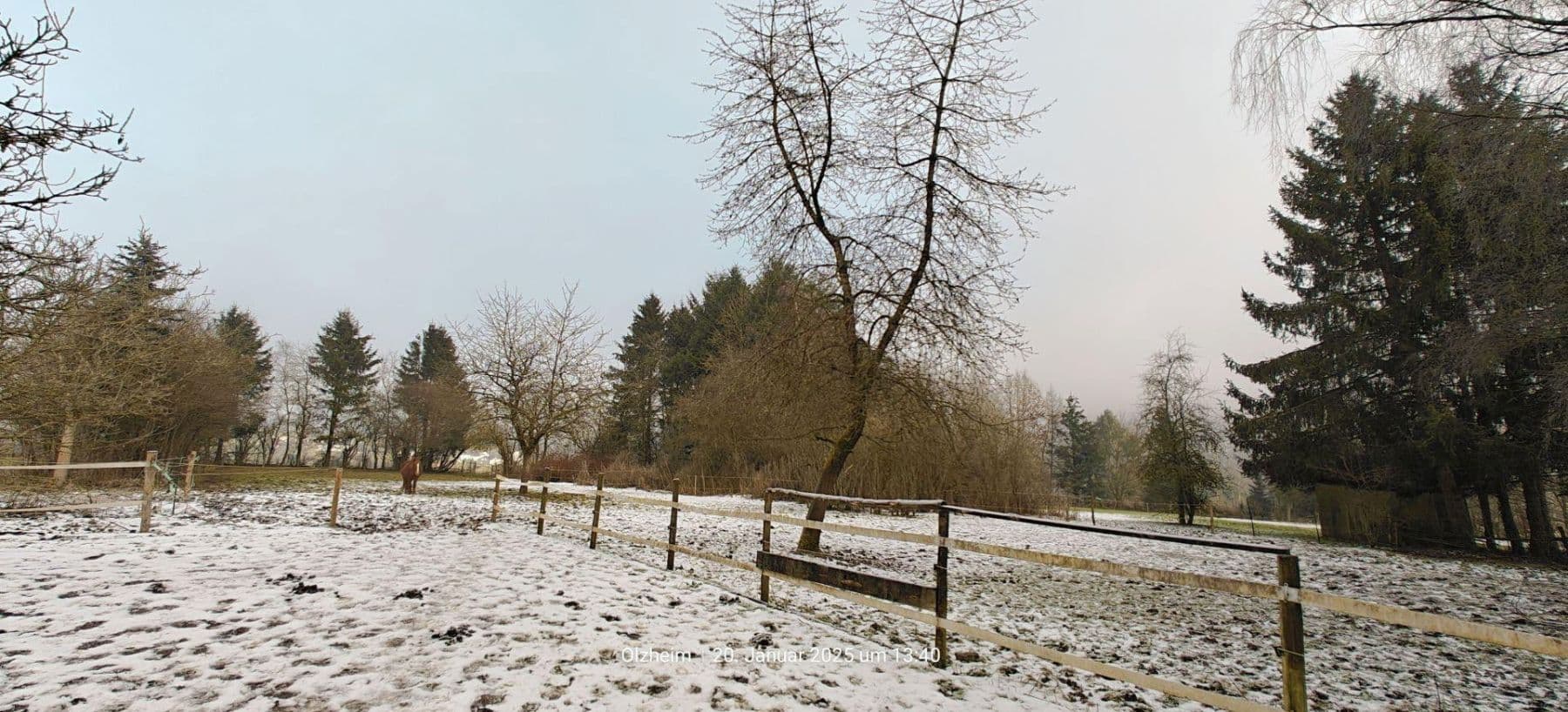 Prodej domu 174 m², pozemek 16.759 m², Olzheim, Porýní-Falc Prodej domu 174 m², pozemek 16.759 m², Olzheim, Porýní-Falc