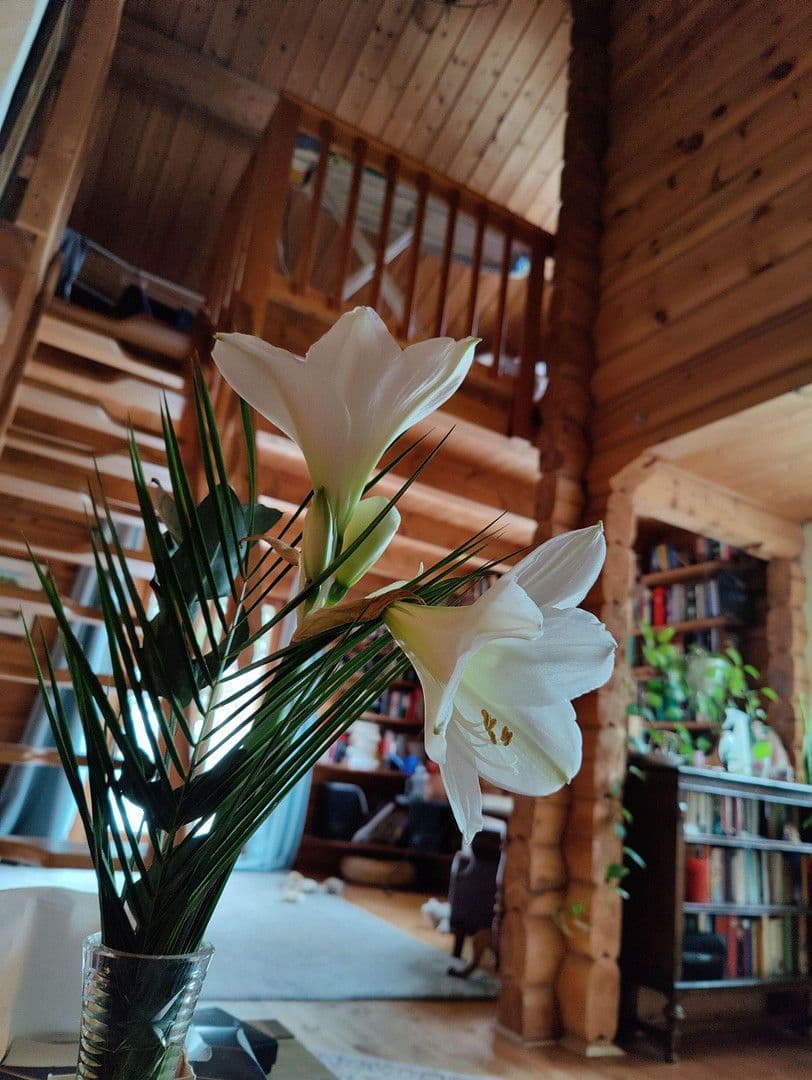 Prodej domu 174 m², pozemek 16.759 m², Olzheim, Porýní-Falc Prodej domu 174 m², pozemek 16.759 m², Olzheim, Porýní-Falc