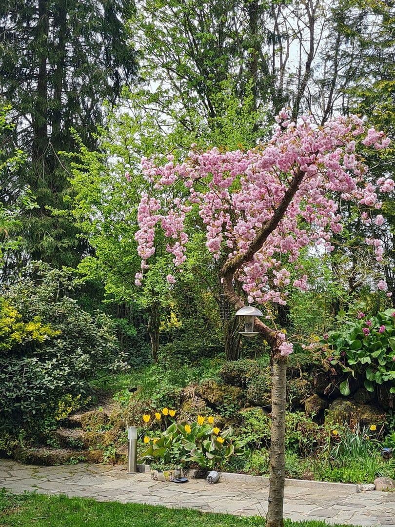 Prodej domu 174 m², pozemek 16.759 m², Olzheim, Porýní-Falc Prodej domu 174 m², pozemek 16.759 m², Olzheim, Porýní-Falc