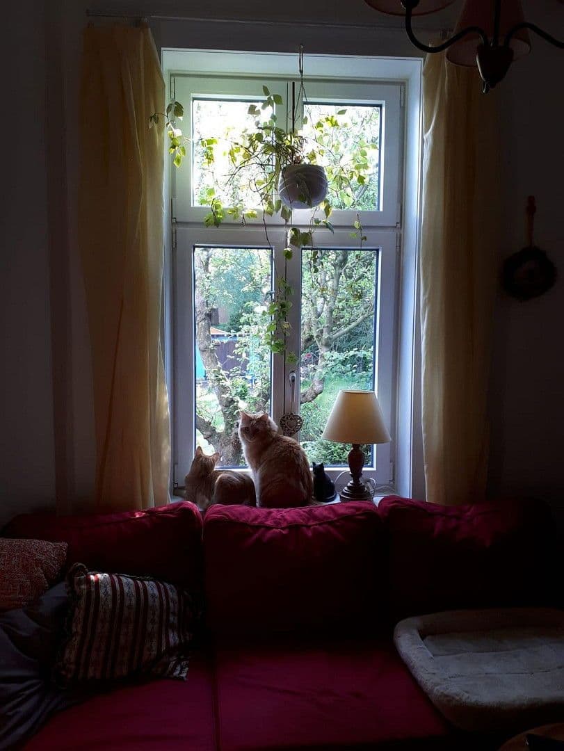 Prodej domu 150 m², pozemek 835 m², Hamburg, Hamburg Prodej domu 150 m², pozemek 835 m², Hamburg, Hamburg