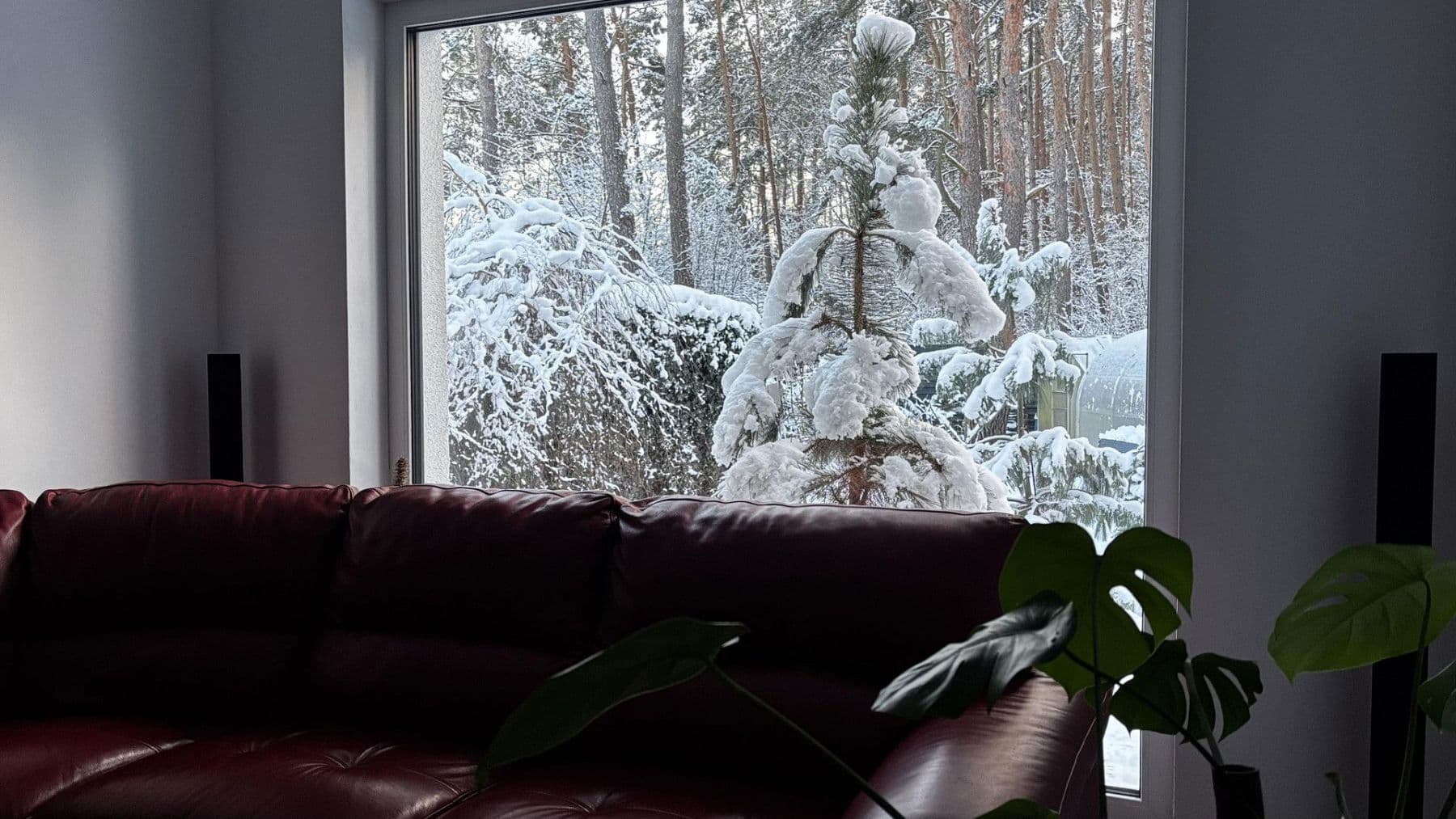 Prodej domu 368 m², pozemek 2.818 m², Borkwalde, Braniborsko Prodej domu 368 m², pozemek 2.818 m², Borkwalde, Braniborsko