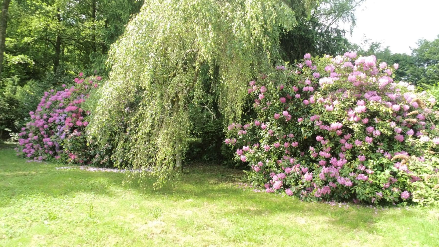 Pronájem bytu 3+1 119 m², Schwimmbadstraße 7, Bad Herrenalb, Bádensko-Württembersko Pronájem bytu 3+1 119 m², Schwimmbadstraße 7, Bad Herrenalb, Bádensko-Württembersko