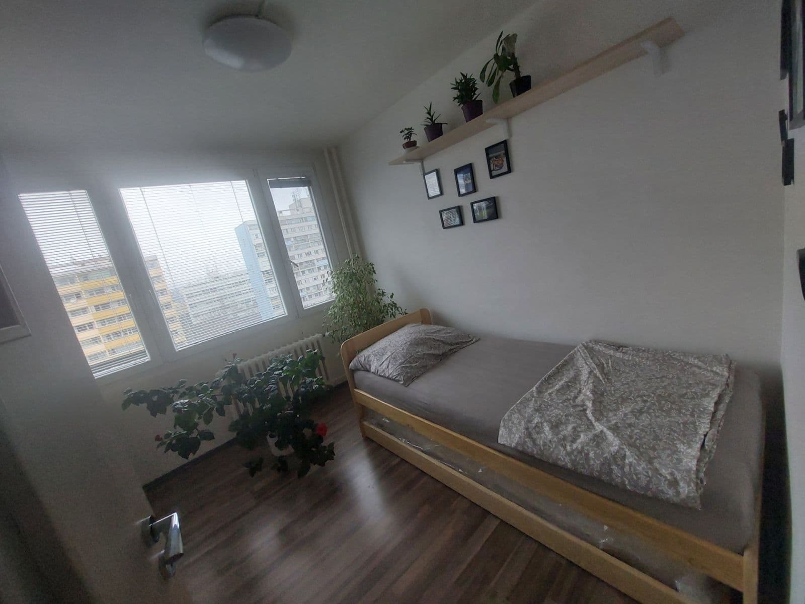 Pronájem bytu 3+1 62 m², Sládkovičova, Praha, Praha Pronájem bytu 3+1 62 m², Sládkovičova, Praha, Praha