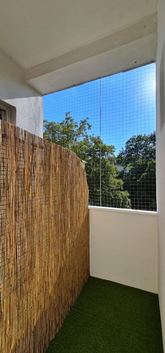 Pronájem bytu 2+1 49 m², Na Louži, Praha, Praha Pronájem bytu 2+1 49 m², Na Louži, Praha, Praha