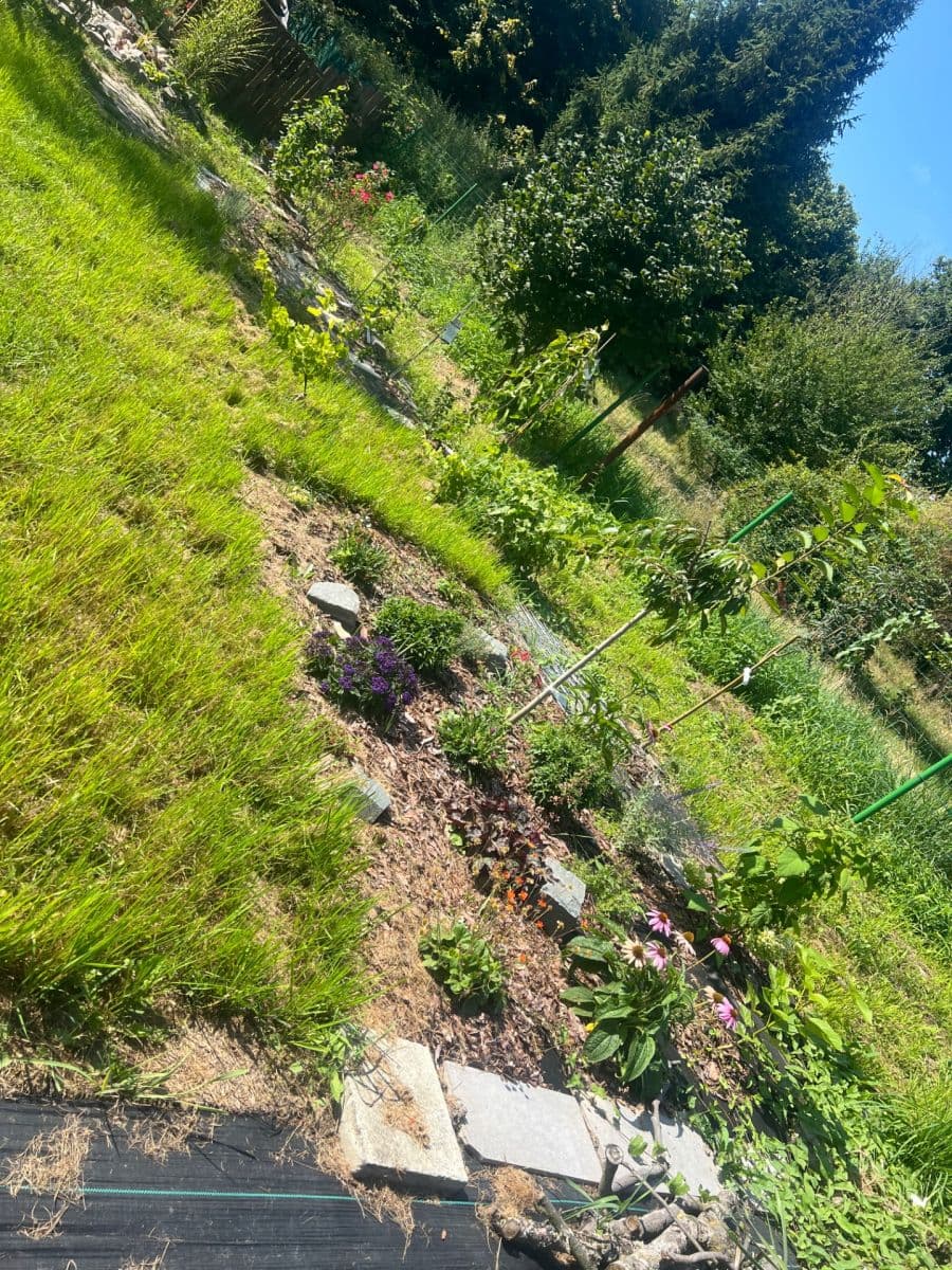 Prodej pozemku 936 m², Doubrava, Moravskoslezský kraj Prodej pozemku 936 m², Doubrava, Moravskoslezský kraj