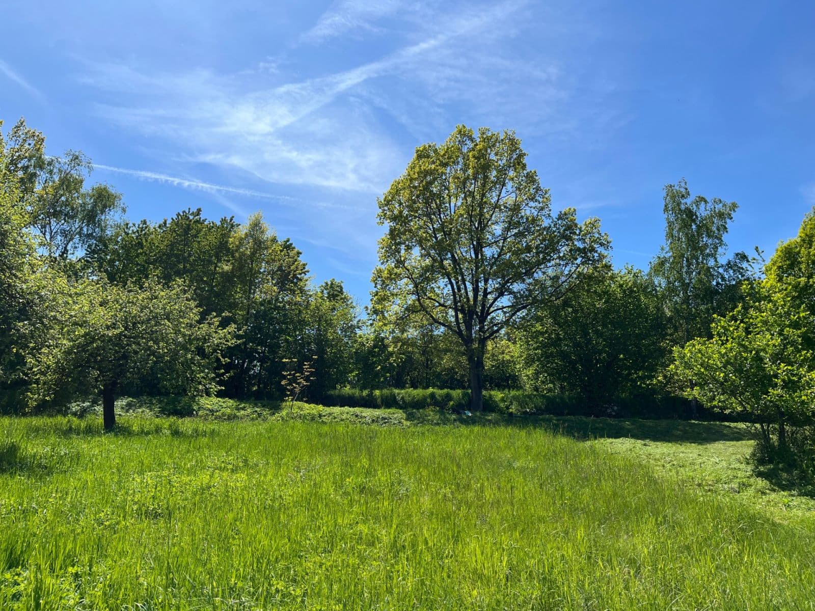 Prodej pozemku 1.603 m², Hrazany, Jihočeský kraj Prodej pozemku 1.603 m², Hrazany, Jihočeský kraj