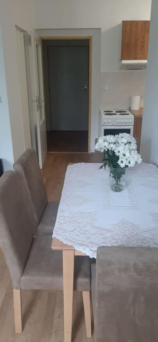 Pronájem bytu 2+kk 40 m², Lesní, Luštěnice, Středočeský kraj Pronájem bytu 2+kk 40 m², Lesní, Luštěnice, Středočeský kraj