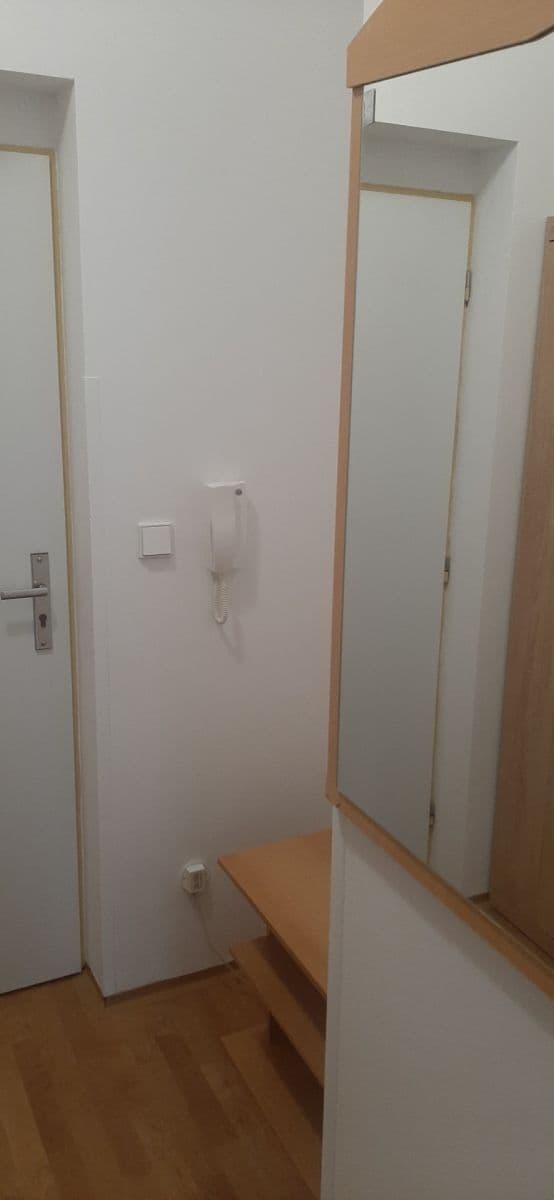 Pronájem bytu 2+kk 40 m², Lesní, Luštěnice, Středočeský kraj Pronájem bytu 2+kk 40 m², Lesní, Luštěnice, Středočeský kraj