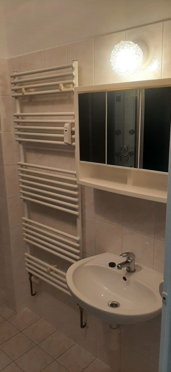 Pronájem bytu 2+kk 40 m², Lesní, Luštěnice, Středočeský kraj Pronájem bytu 2+kk 40 m², Lesní, Luštěnice, Středočeský kraj