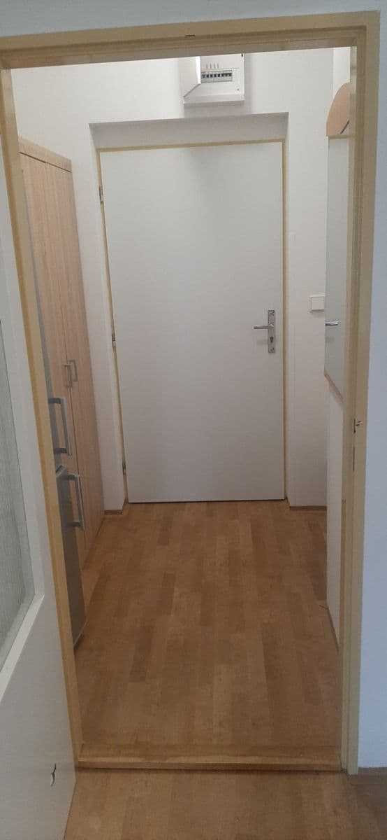 Pronájem bytu 2+kk 40 m², Lesní, Luštěnice, Středočeský kraj Pronájem bytu 2+kk 40 m², Lesní, Luštěnice, Středočeský kraj