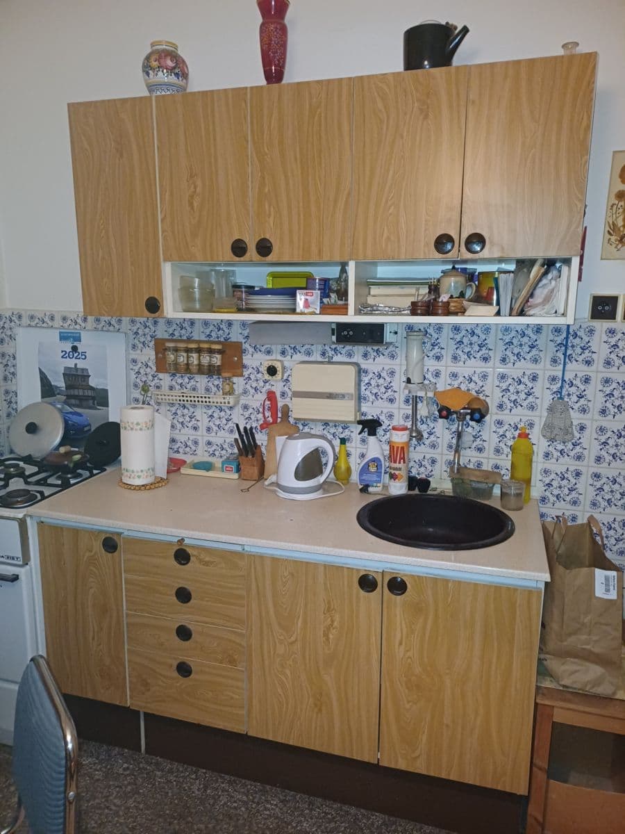 Pronájem bytu 1+1 45 m², Zemědělská, Praha, Praha Pronájem bytu 1+1 45 m², Zemědělská, Praha, Praha