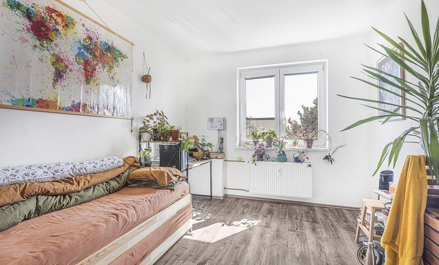 Pronájem bytu 2+1 52 m², Medkova, Hradec Králové, Královéhradecký kraj Pronájem bytu 2+1 52 m², Medkova, Hradec Králové, Královéhradecký kraj