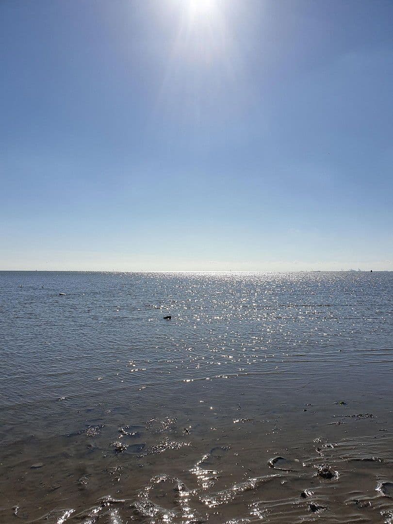 Prodej bytu 2+1 38 m², Friesenhörn 11, Wangerland, Dolní Sasko Prodej bytu 2+1 38 m², Friesenhörn 11, Wangerland, Dolní Sasko