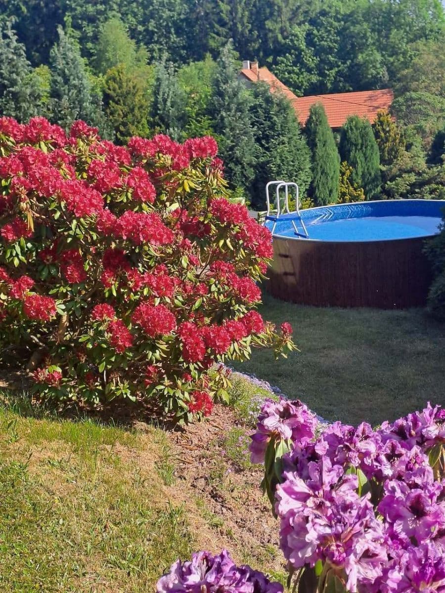 Pronájem chaty, chalupy, Skuhrov, Liberecký kraj Pronájem chaty, chalupy, Skuhrov, Liberecký kraj