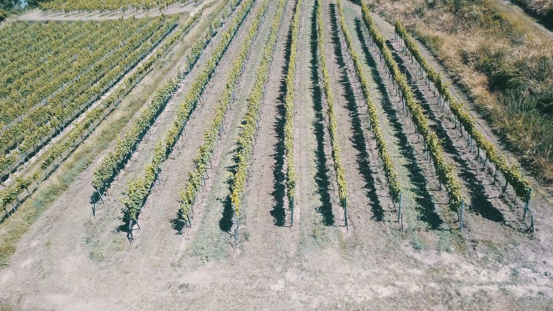 Prodej pozemku 3.596 m², Mitterarnsdorf, Dolní Rakousko Prodej pozemku 3.596 m², Mitterarnsdorf, Dolní Rakousko