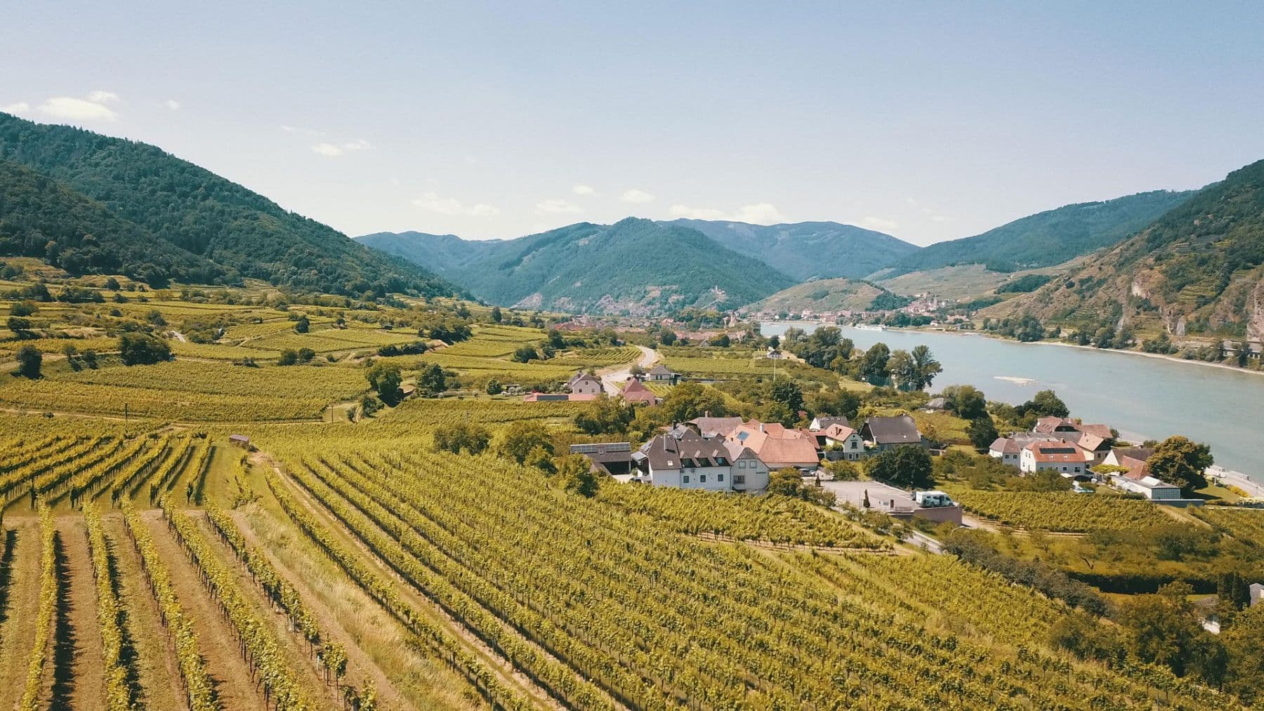 Prodej pozemku 3.596 m², Mitterarnsdorf, Dolní Rakousko Prodej pozemku 3.596 m², Mitterarnsdorf, Dolní Rakousko