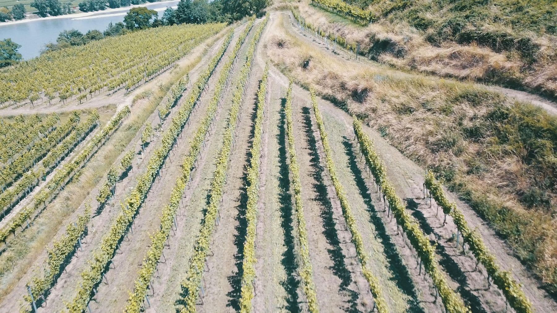 Prodej pozemku 3.596 m², Mitterarnsdorf, Dolní Rakousko Prodej pozemku 3.596 m², Mitterarnsdorf, Dolní Rakousko