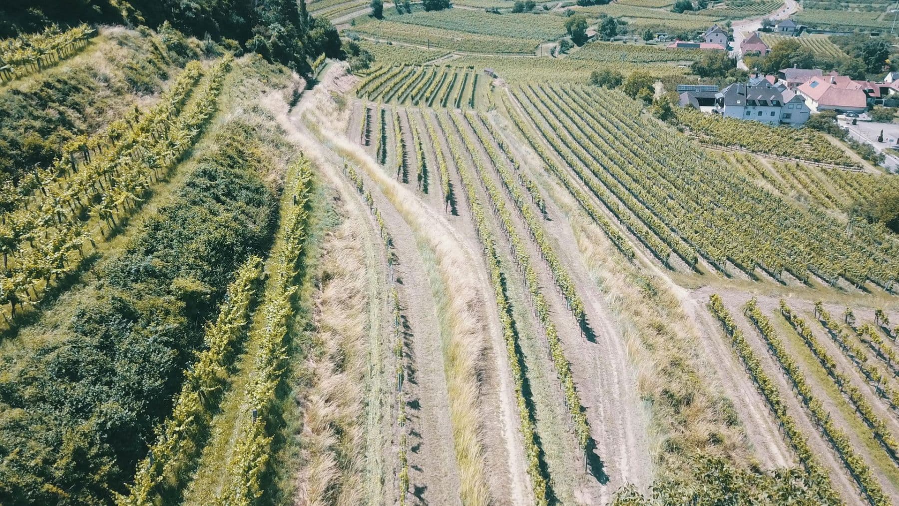 Prodej pozemku 3.596 m², Mitterarnsdorf, Dolní Rakousko Prodej pozemku 3.596 m², Mitterarnsdorf, Dolní Rakousko