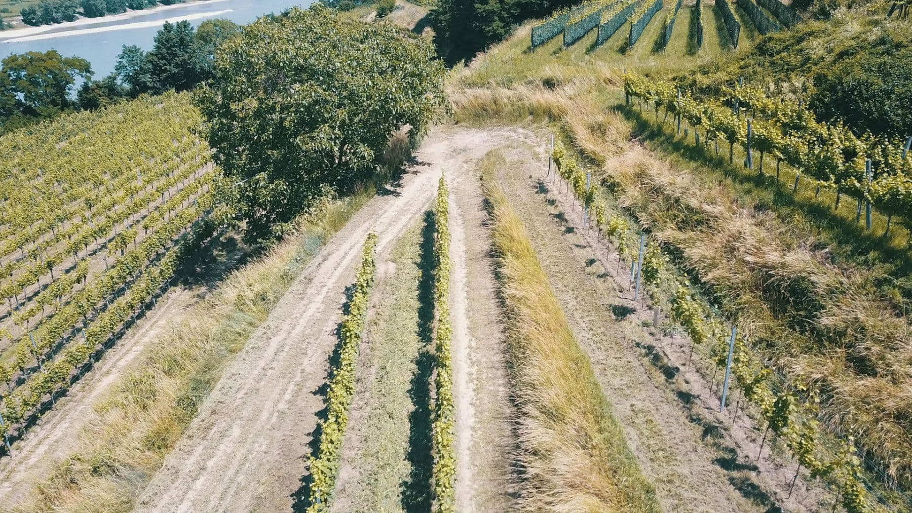 Prodej pozemku 3.596 m², Mitterarnsdorf, Dolní Rakousko Prodej pozemku 3.596 m², Mitterarnsdorf, Dolní Rakousko