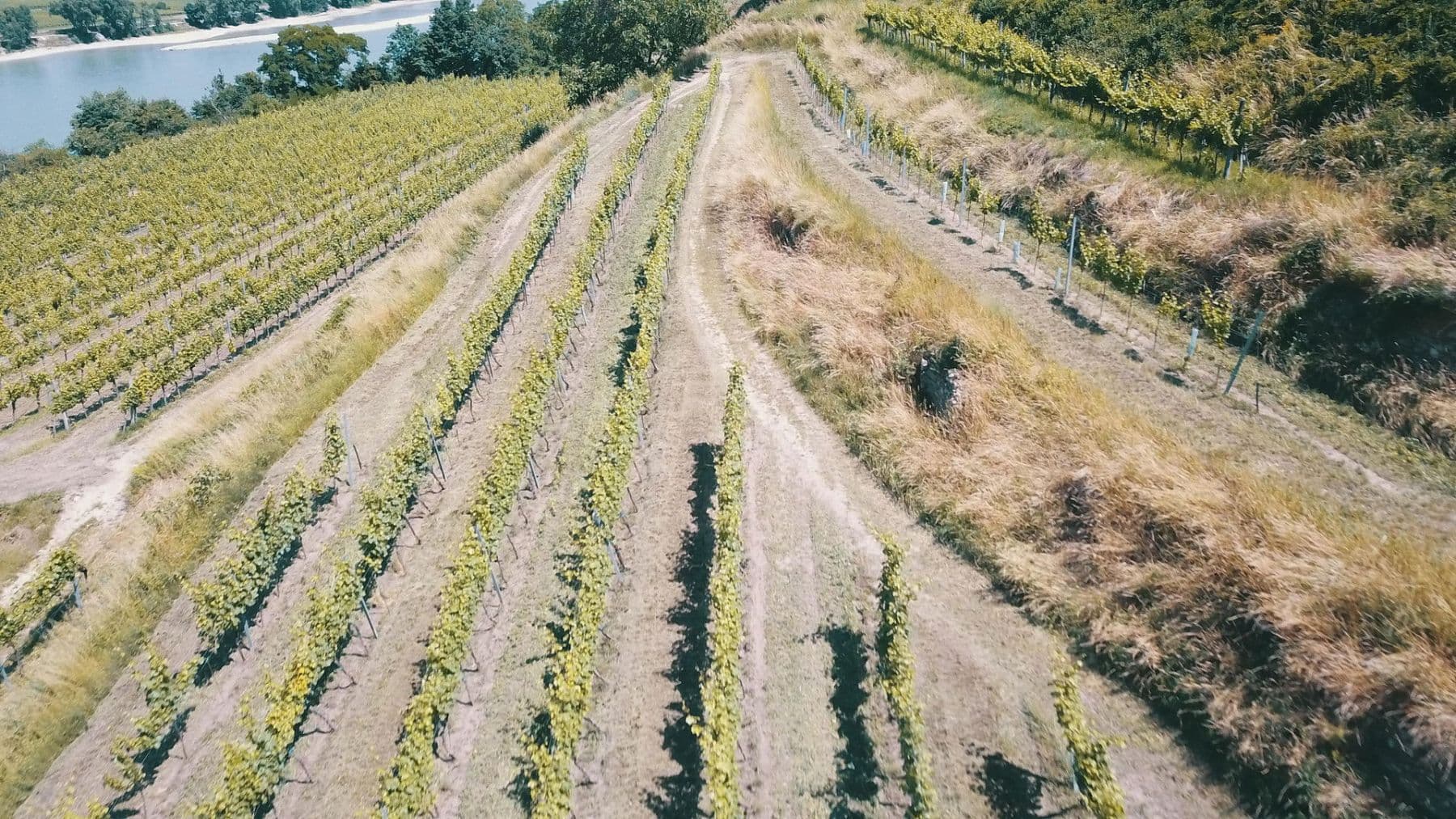 Prodej pozemku 3.596 m², Mitterarnsdorf, Dolní Rakousko Prodej pozemku 3.596 m², Mitterarnsdorf, Dolní Rakousko