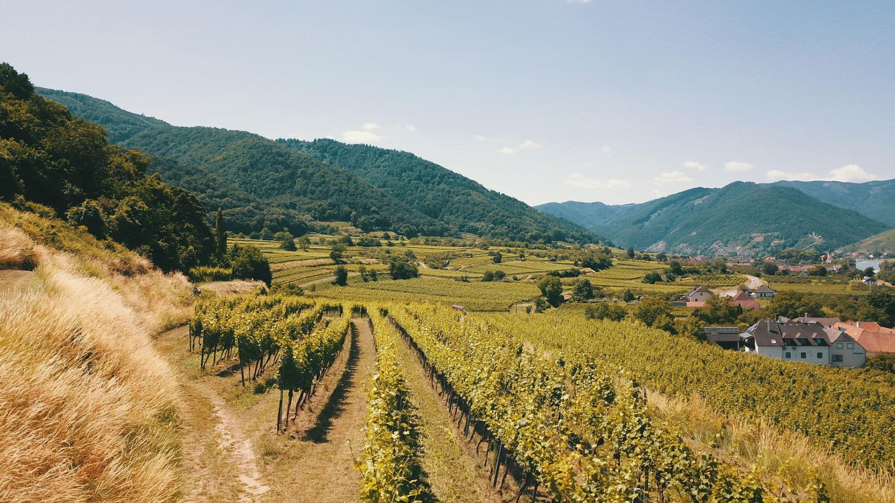 Prodej pozemku 3.596 m², Mitterarnsdorf, Dolní Rakousko Prodej pozemku 3.596 m², Mitterarnsdorf, Dolní Rakousko