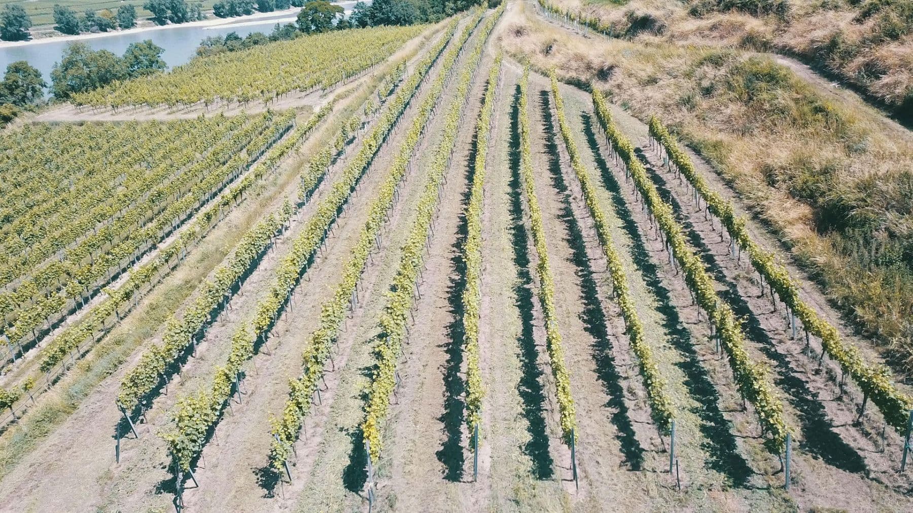 Prodej pozemku 3.596 m², Mitterarnsdorf, Dolní Rakousko Prodej pozemku 3.596 m², Mitterarnsdorf, Dolní Rakousko