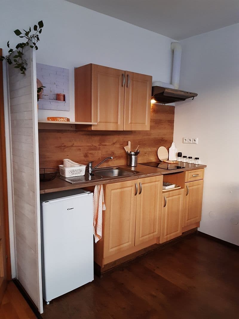 Pronájem bytu 1+kk 37 m², U Měšťanského pivovaru, Praha, Praha Pronájem bytu 1+kk 37 m², U Měšťanského pivovaru, Praha, Praha