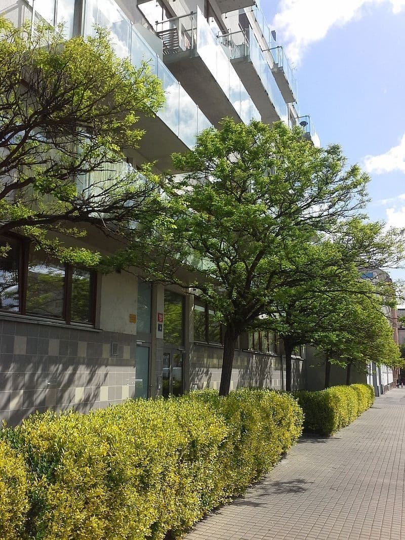 Pronájem bytu 1+kk 37 m², U Měšťanského pivovaru, Praha, Praha Pronájem bytu 1+kk 37 m², U Měšťanského pivovaru, Praha, Praha