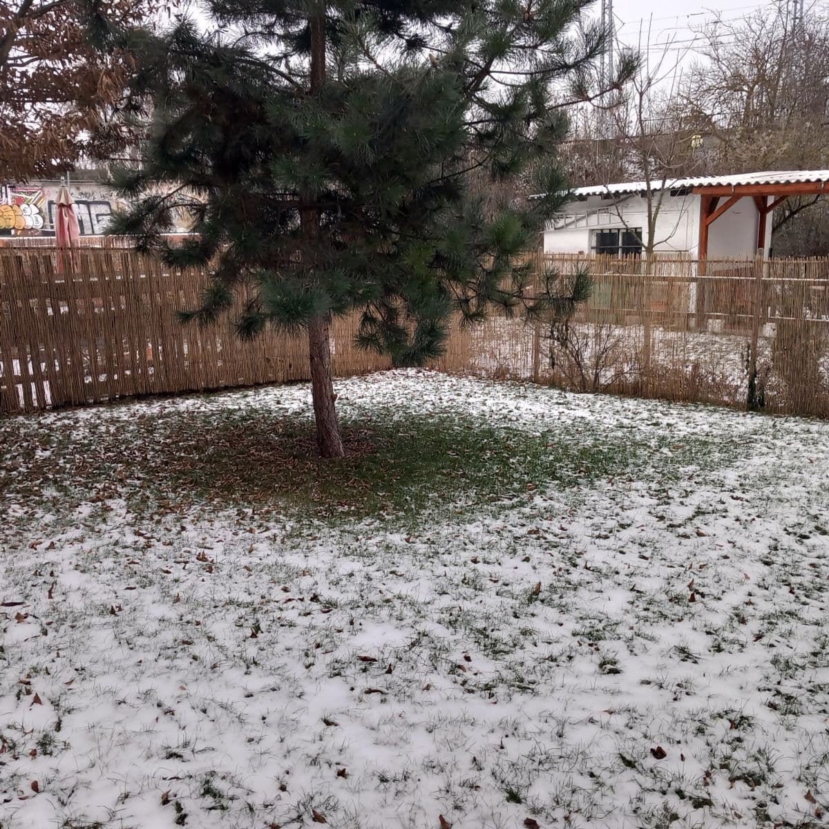 Pronájem bytu 1+kk 31 m², Stejskalova, Brno, Jihomoravský kraj Pronájem bytu 1+kk 31 m², Stejskalova, Brno, Jihomoravský kraj