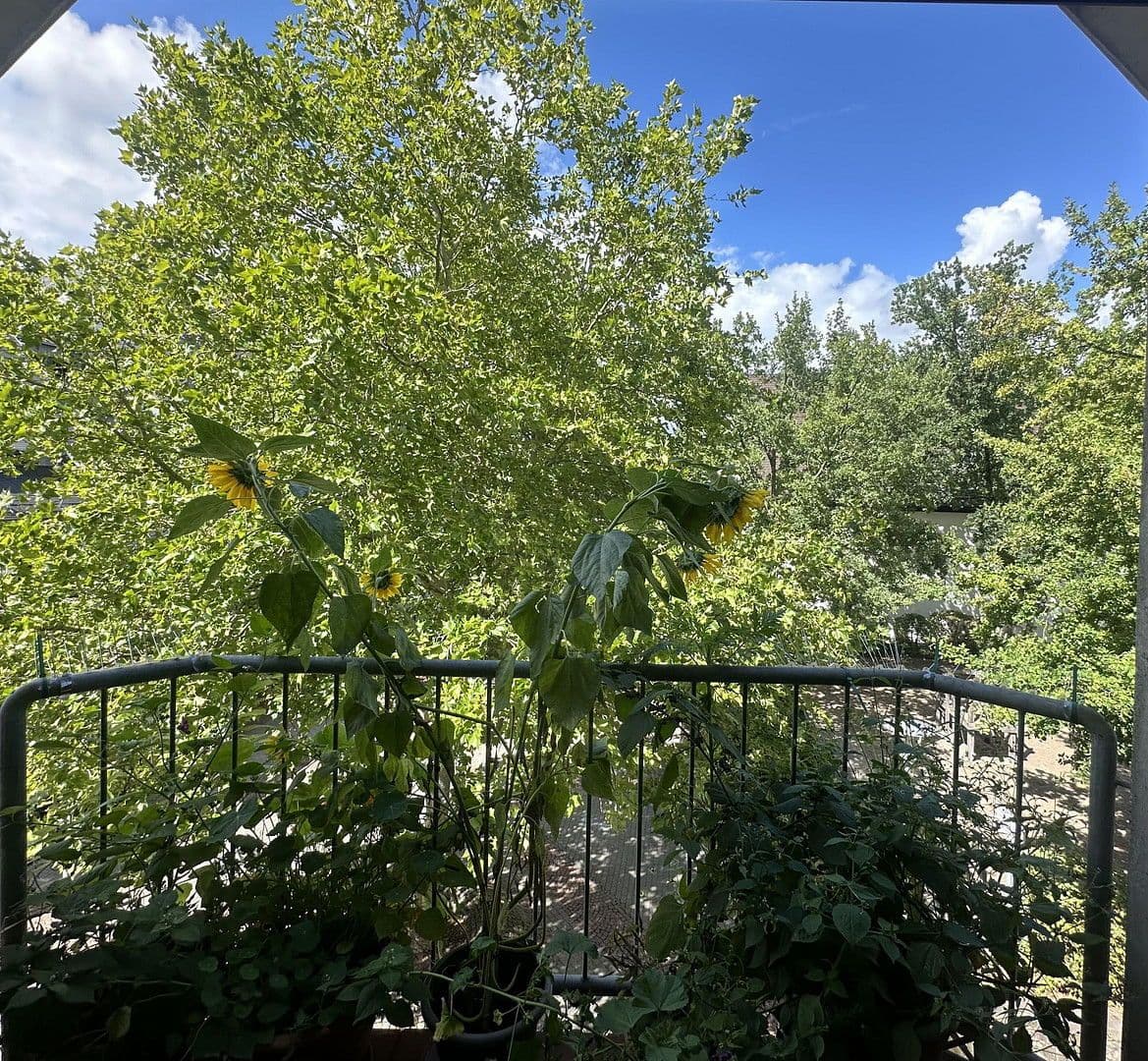 Pronájem bytu 2+1 59 m², Kaiserslautern, Porýní-Falc Pronájem bytu 2+1 59 m², Kaiserslautern, Porýní-Falc